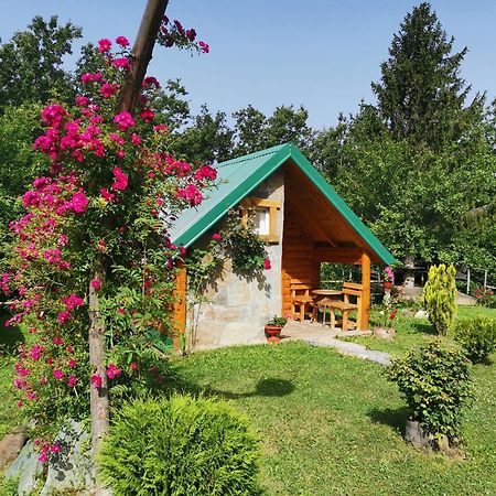 Gazela Bungalov 2 莫伊科瓦茨 外观 照片